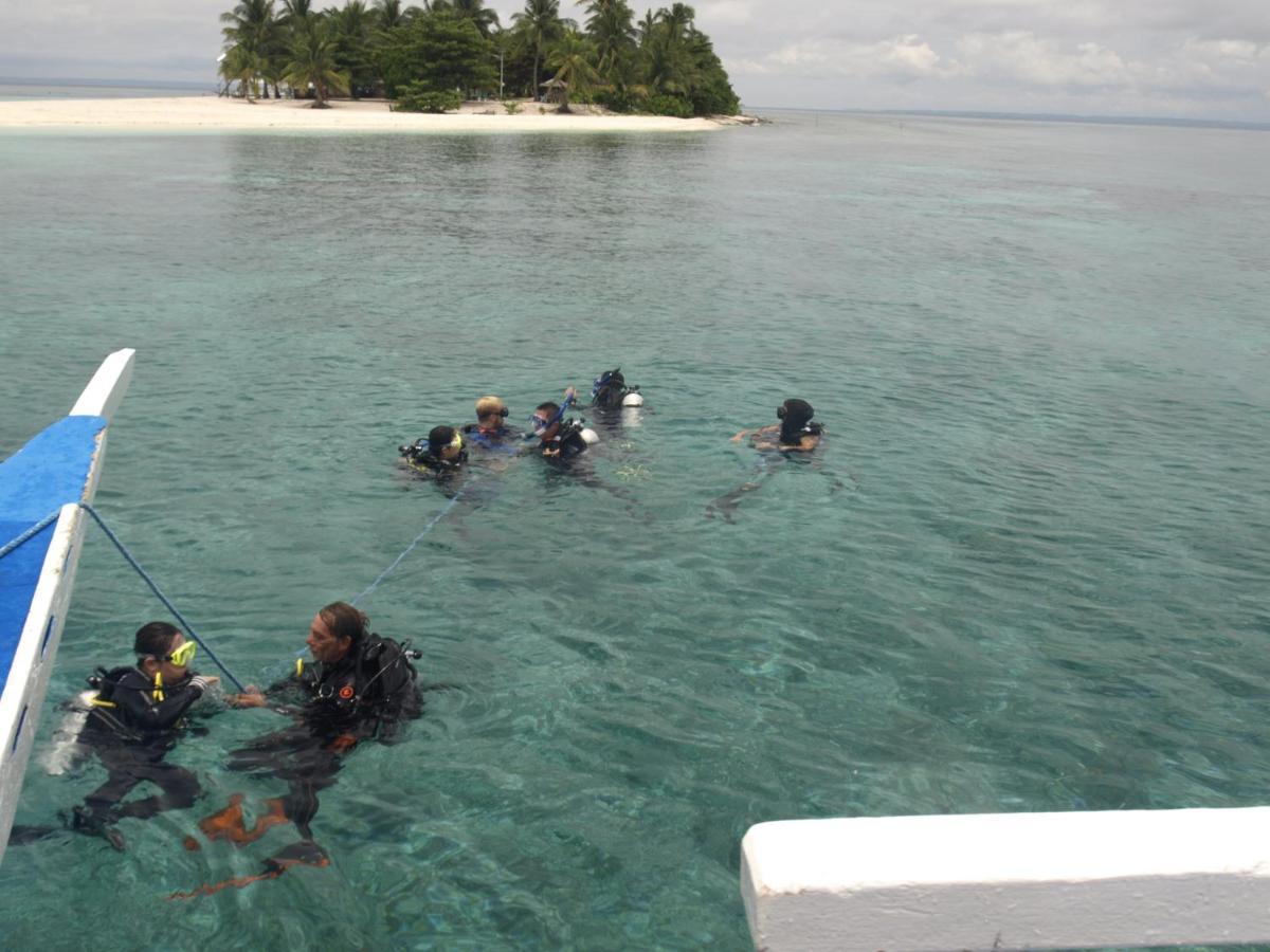 The Shark'S Tail Dive Center Hotell Daanbantayan Eksteriør bilde