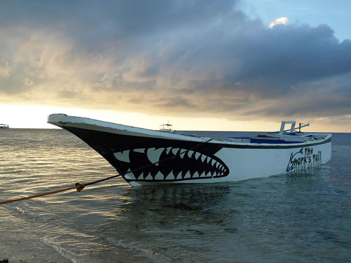 The Shark'S Tail Dive Center Hotell Daanbantayan Eksteriør bilde