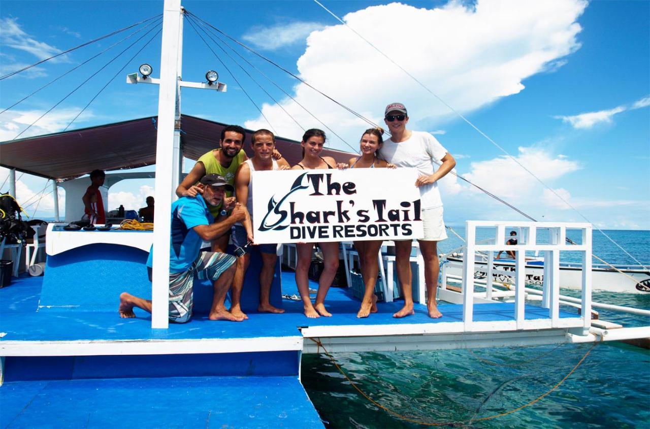 The Shark'S Tail Dive Center Hotell Daanbantayan Eksteriør bilde
